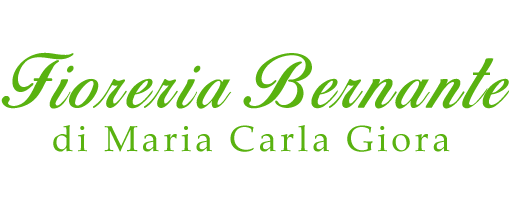 Fiorista Camposampiero