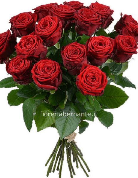 Mazzo 15 rose rosse (lunghezza stelo variabile, vedi prezzi)